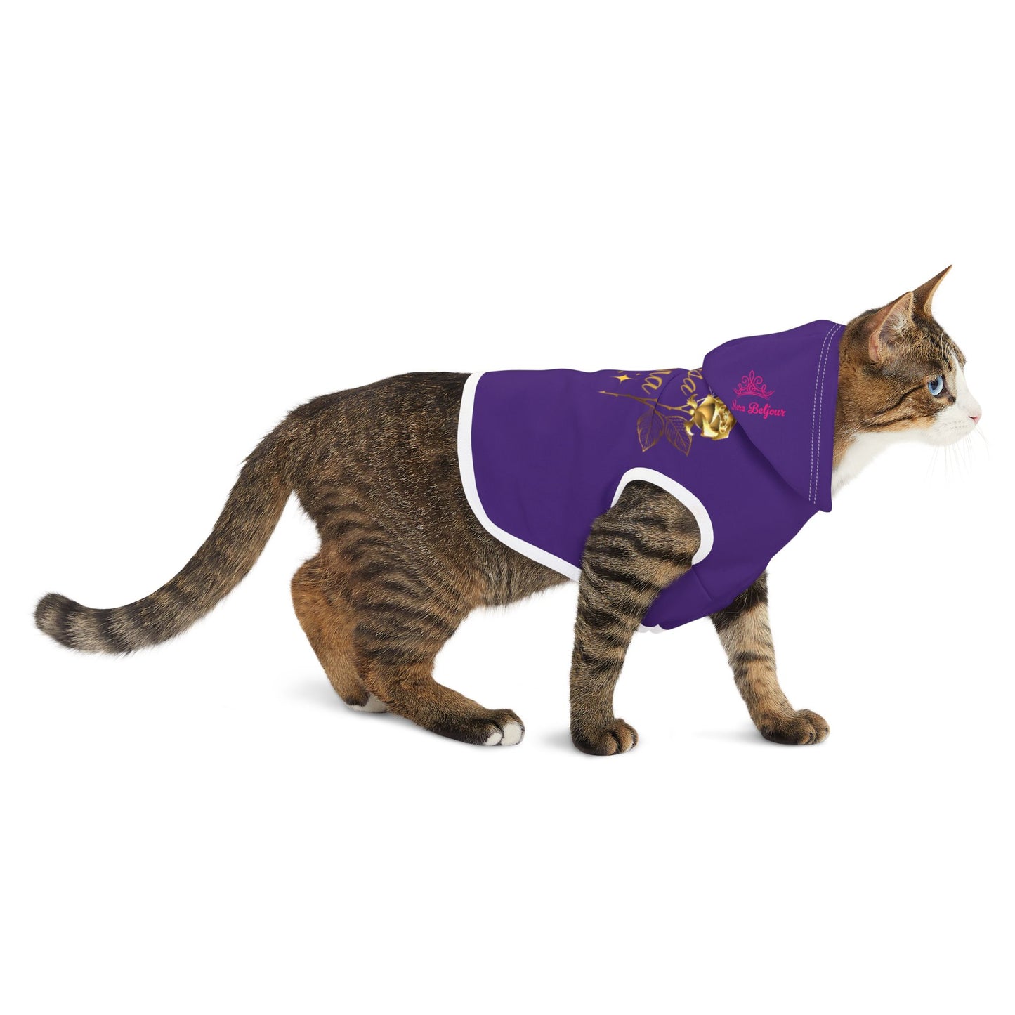 Los Angeles 1.0 Pet Hoodie