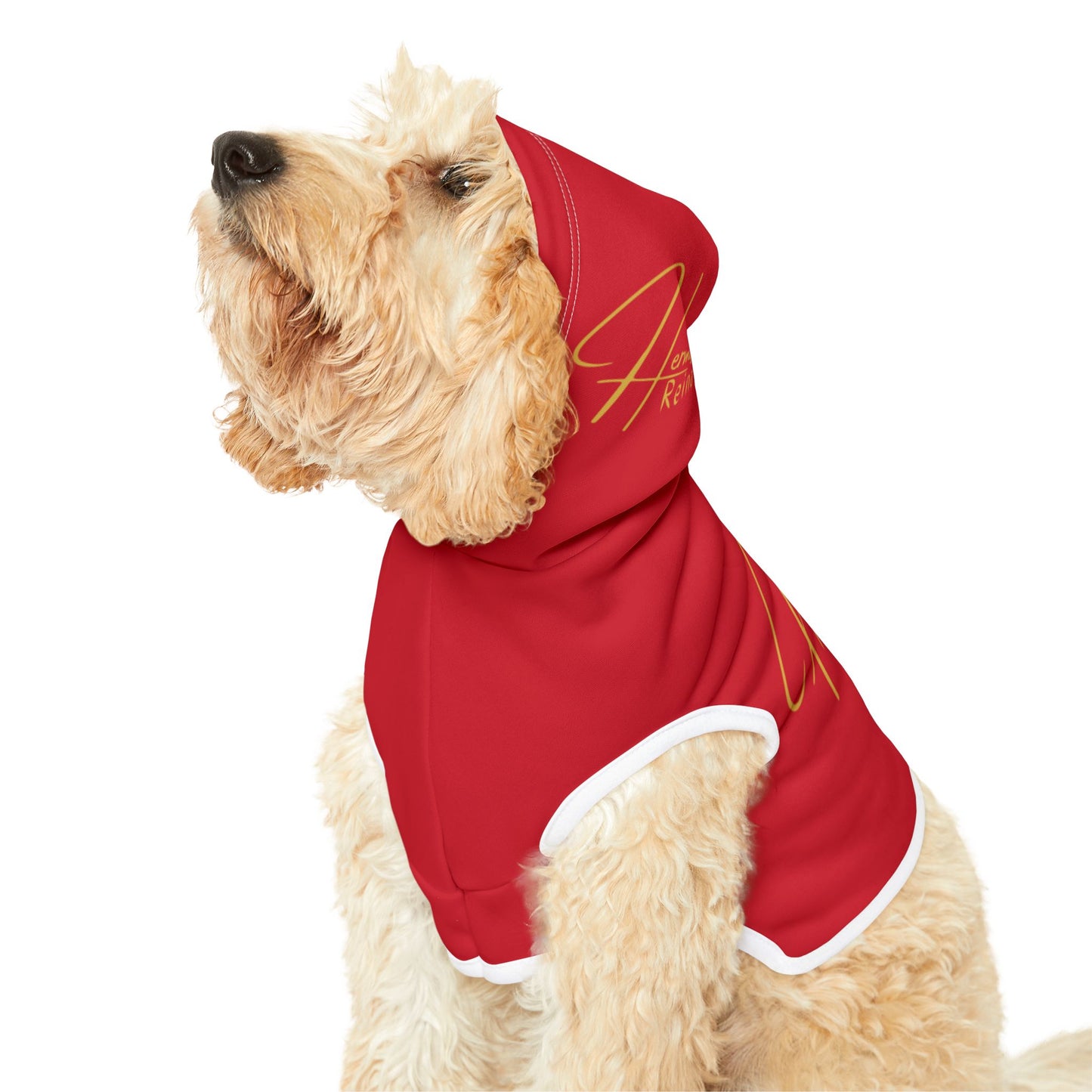 Houston 1.0 Pet Hoodie