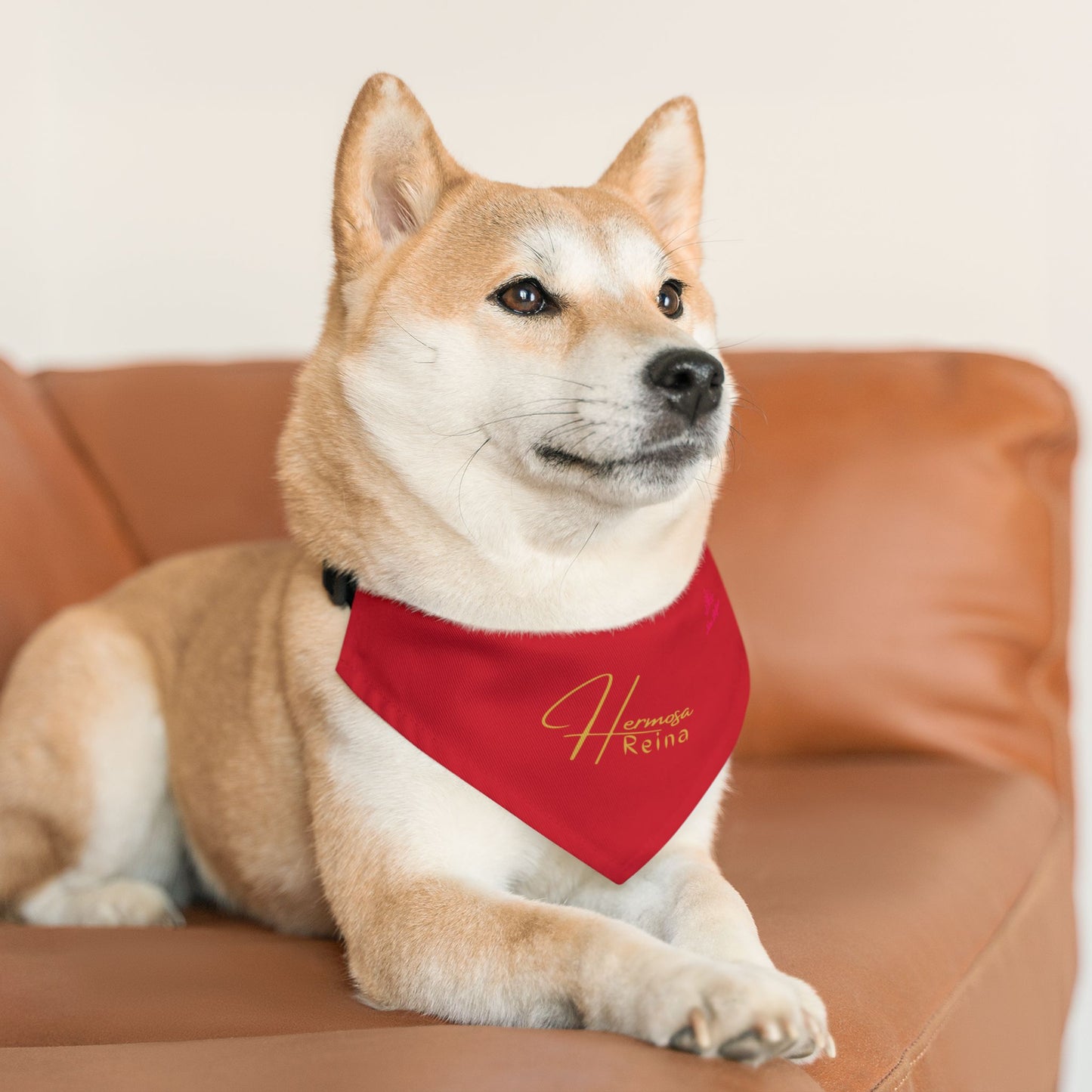 Houston 1.0 Pet Bandana