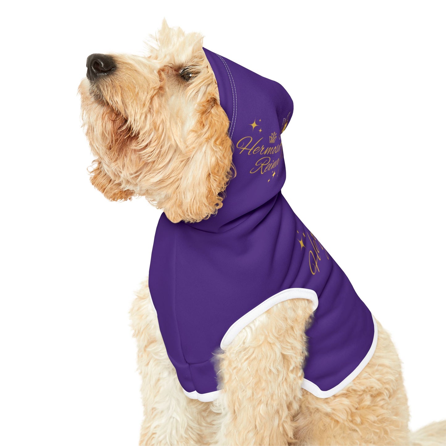 Los Angeles 1.0 Pet Hoodie