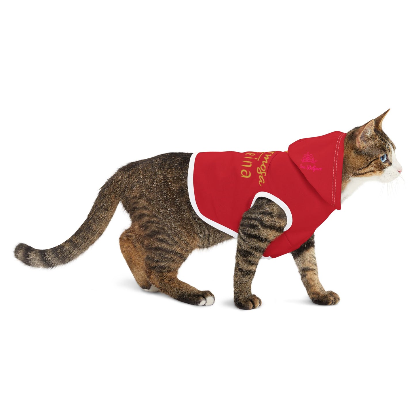 Houston 1.0 Pet Hoodie