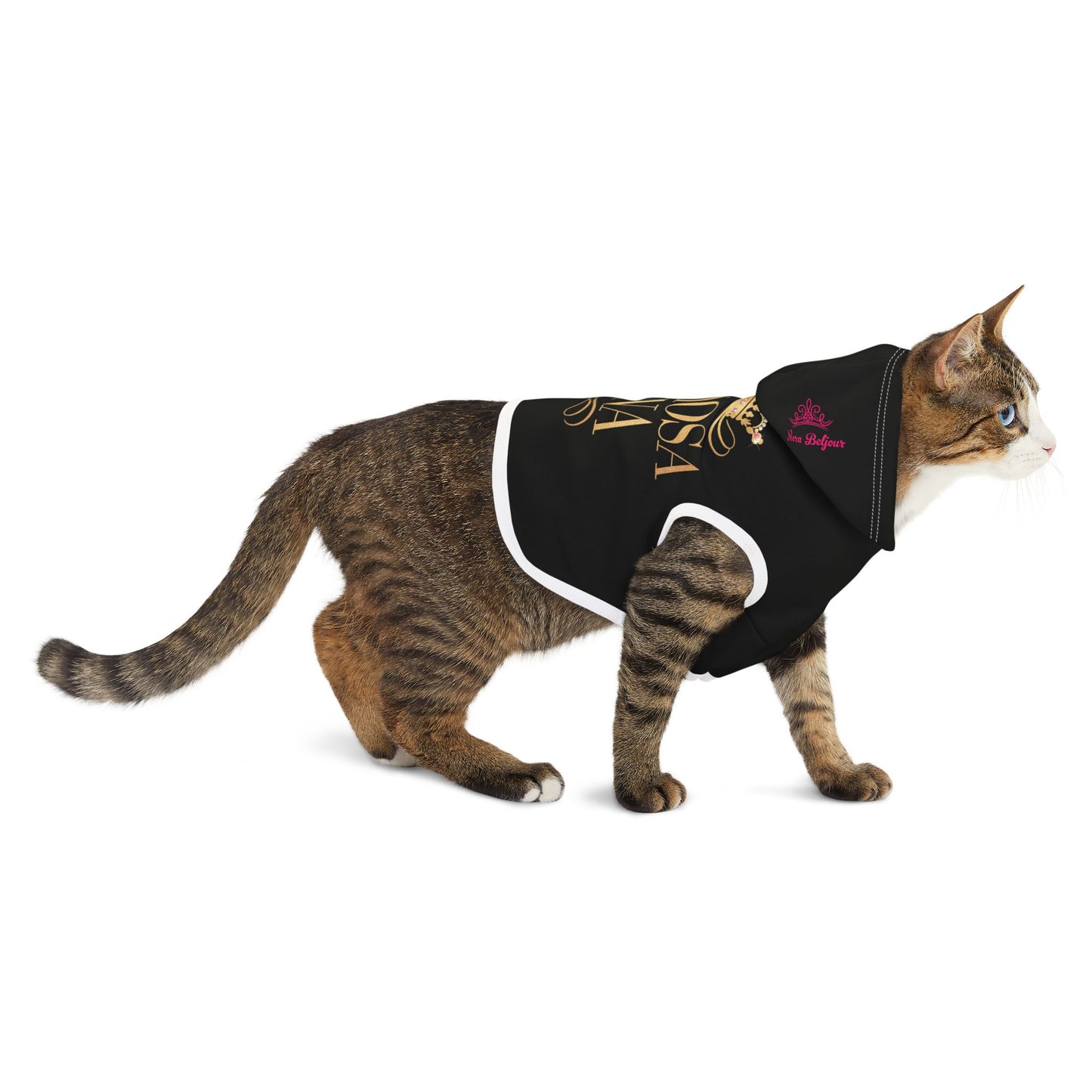Chicago 1.0 Pet Hoodie