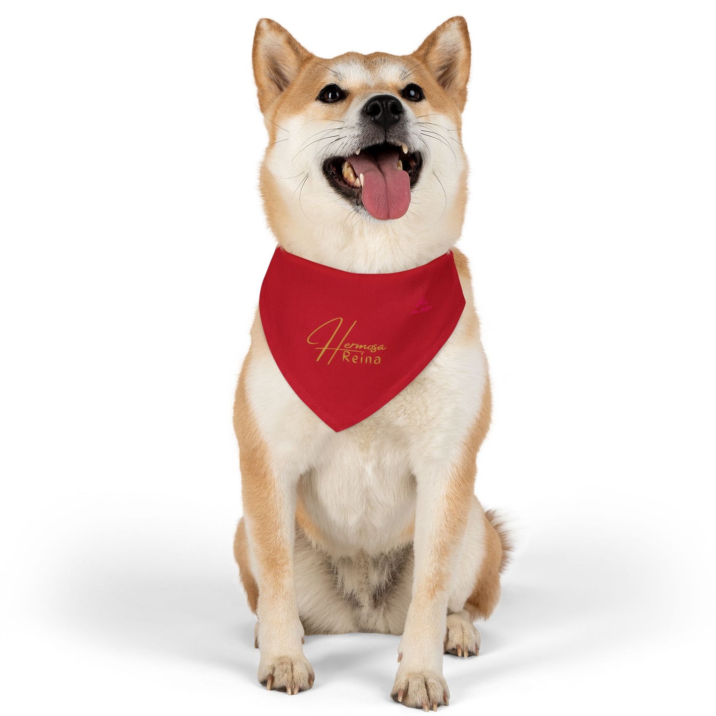 Houston 1.0 Pet Bandana
